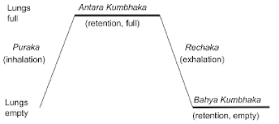 pranayama phases